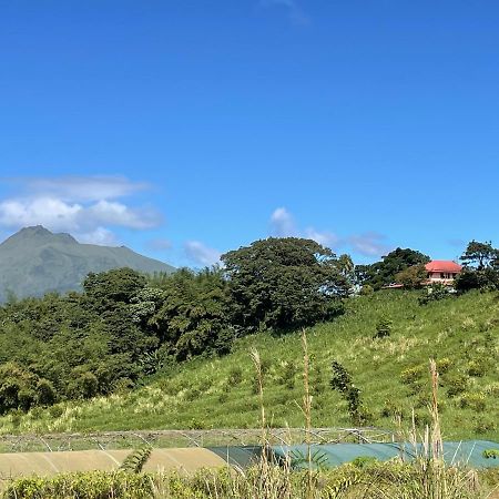 Chambre Et Sdb Privative Ylang Ylang Vue Mont Pelee Dans Maison Partagee Le Morne-Rouge Exteriér fotografie
